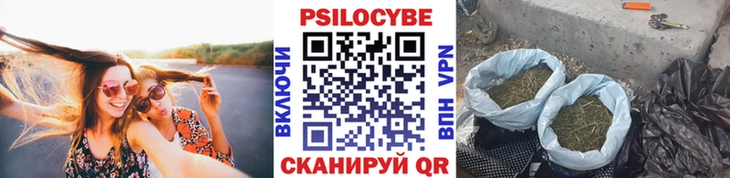 закладка  Новозыбков  Галлюциногенные грибы мицелий 