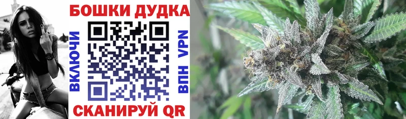 Каннабис White Widow  Новозыбков 